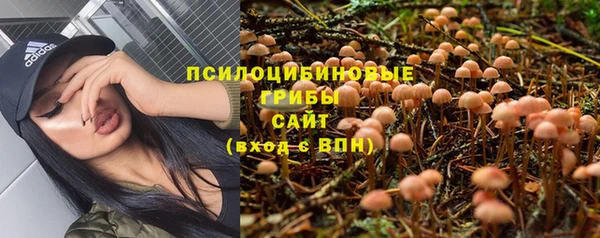 прущая мука Балахна
