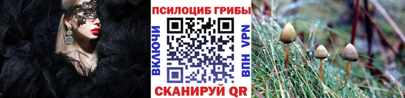 Псилоцибиновые грибы Cubensis Бобров